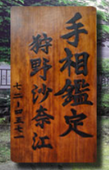 狩野沙奈江先生